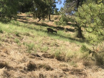 IMG_5703.jpeg