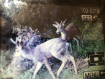 IMG_5645.jpeg