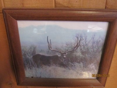 nwtf & desert 6-9-13 027.JPG