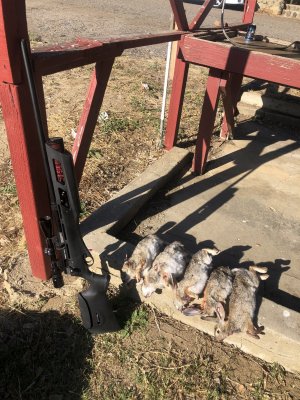 rabbit opener '23 1.JPG