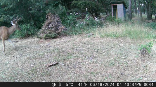 DSCF0044 - Copy (5).JPG