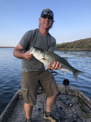 skinner striper Matt 7-26-24.png