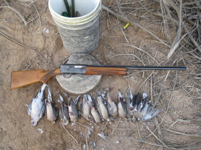 opening dove 2012 006.JPG