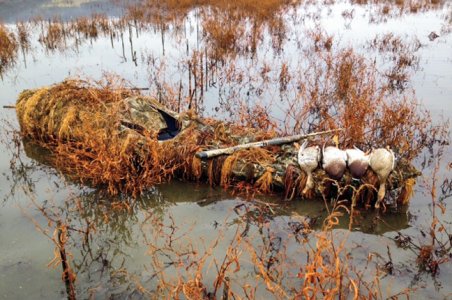 DIY_Kayak_Duck_Blind.jpg