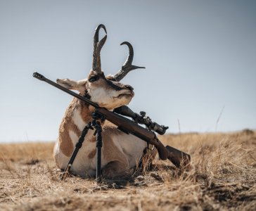 WY_Tricer_ Antelope2-23.jpeg