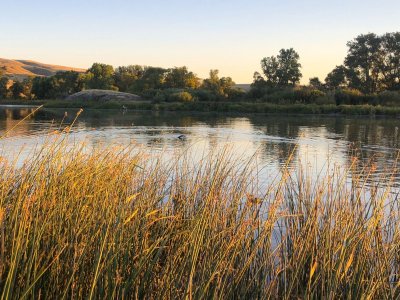 Montana duck opener '24.JPG