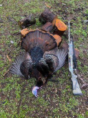 Turkey gob opener 2024 .JPG