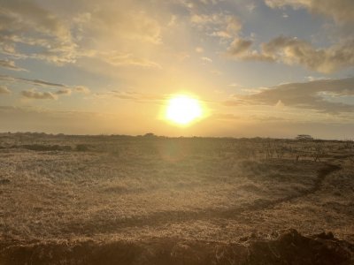 IMG_2063.jpeg