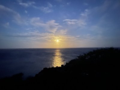 IMG_2003.jpeg