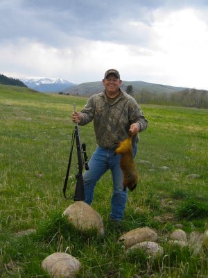 montana woodchuck.JPG