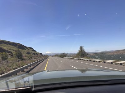 IMG_7168.jpg