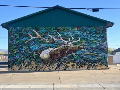 IMG_0105.jpeg