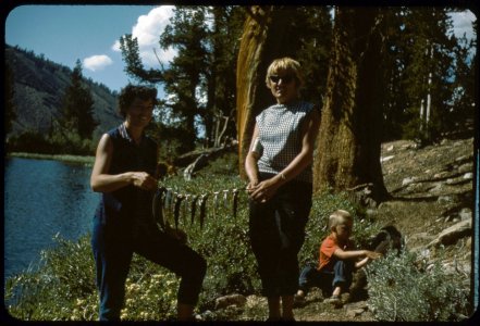 scan006.jpg