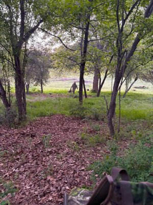 IMG_9652.jpg IMG_9652.jpg