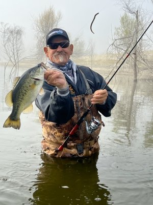 IMG_2490.jpg