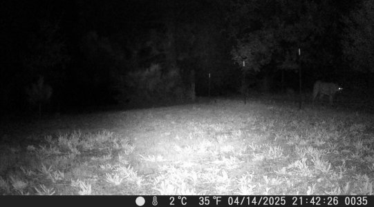 DSCF0035 - Copy (3).JPG
