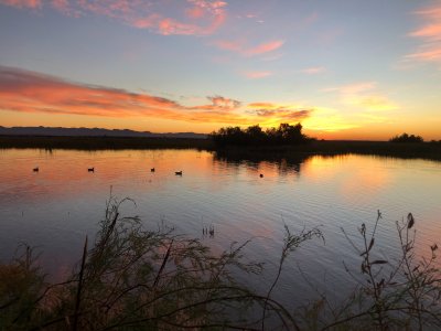 wister sunrise '21 1.JPG