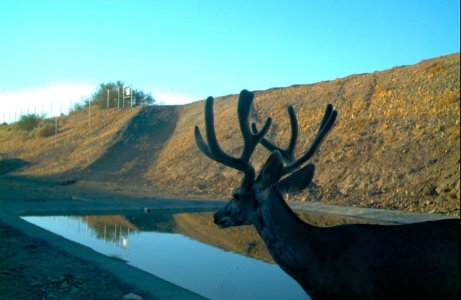 2010-09-14 18-12-24 M 03_03.jpg