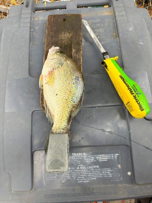 henshaw slab 6-13-25.jpg