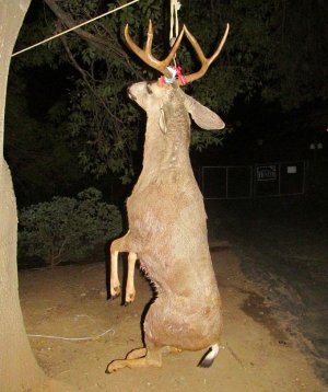 Bucks & Wister 10-31-12 104.JPG