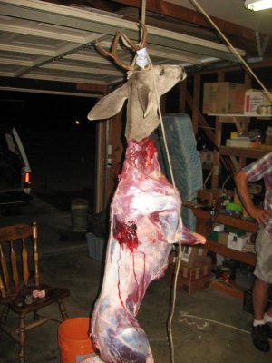 1st bow buck 2012 028.JPG