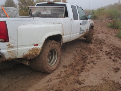 wister mud 2.JPG