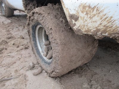 wister mud.JPG