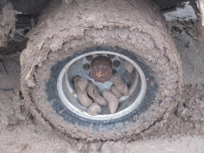 wister mud 1.JPG