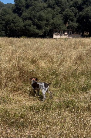 IMG_1947.jpeg