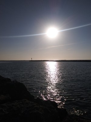 0805251832a.jpg