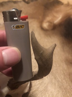 IMG_8654.jpeg