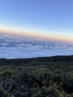 IMG_2896.jpeg