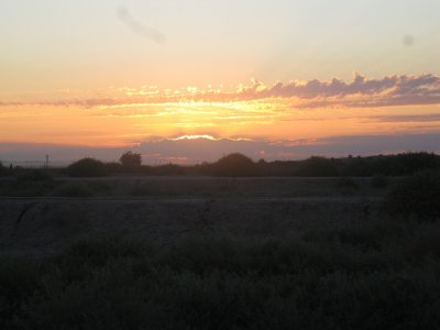 dove opener 9-1-11 010.JPG