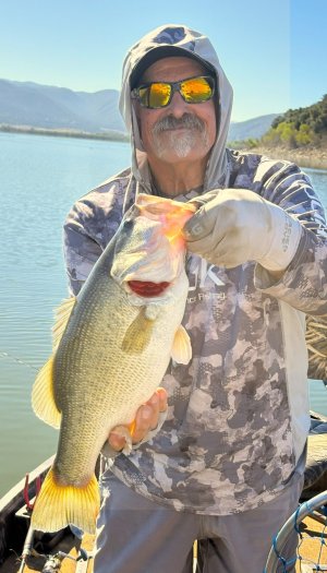 henshaw 4-7 lbs 8-29-25.jpg henshaw 4-7 lbs 8-29-25.jpg
