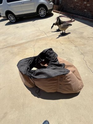 bigfoot bag.jpg