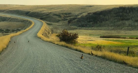 montana 2021 2.JPG