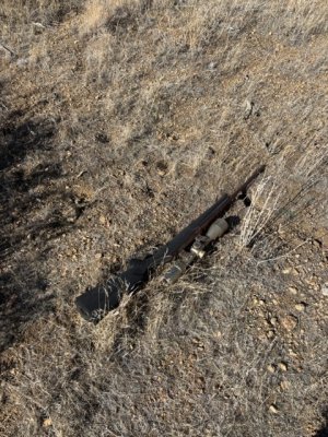 D17 Rifle.jpeg
