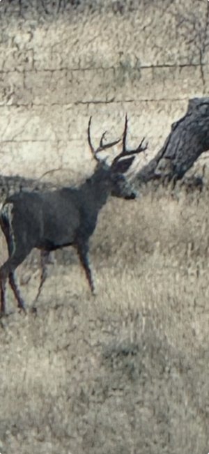 IMG_20251006_092427.jpg