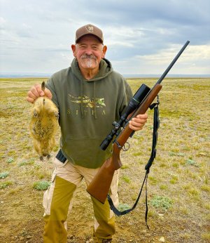 montana dogs 2025.jpg