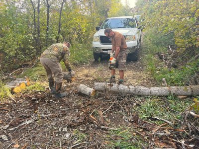 montana logs 2025.jpg