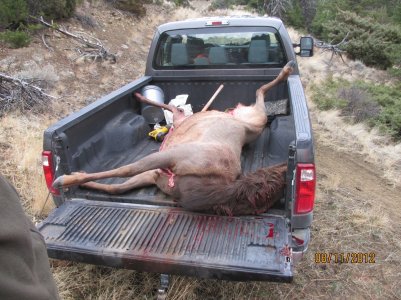 montana day 3 038.JPG