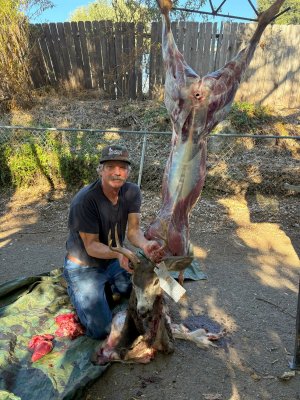 audie my buck 10-28-25.jpg