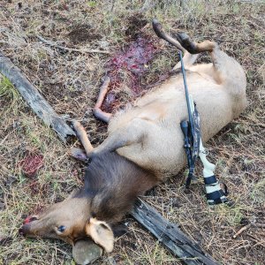 20251102_074930(1).jpg 20251102_074930(1).jpg