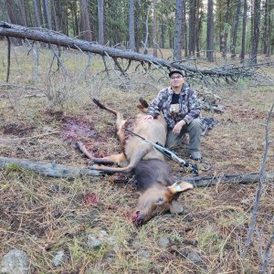 20251102_080444(1).jpg 20251102_080444(1).jpg