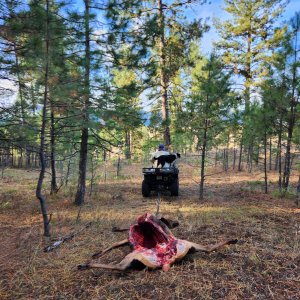 20251102_095109(1).jpg 20251102_095109(1).jpg