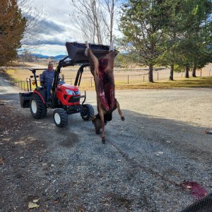 20251102_111608(1).jpg 20251102_111608(1).jpg