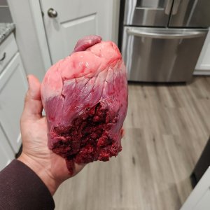 20251102_200325(1).jpg 20251102_200325(1).jpg