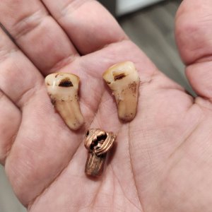 20251103_130537.jpg 20251103_130537.jpg