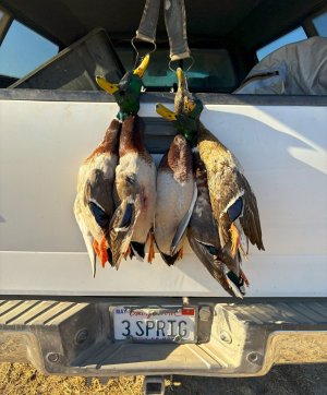 San J Bridge 11-1-25.jpg