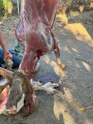 exit buck 10-28-25.jpg